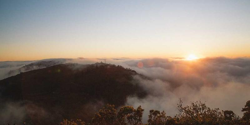 API驱动未来:网络切片即服务(NSaaS)如何重塑5G开发范式