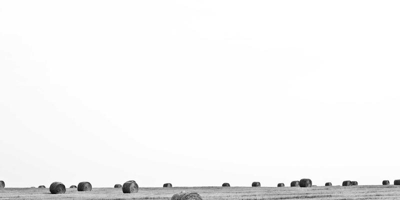 从代码到连接:NFaaS如何通过API将运营商网络变为前端开发者的新画布