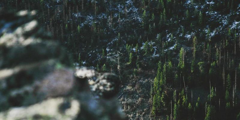 从太空到桌面:揭秘Starlink网络架构与TCP性能优化的开发工具与实战